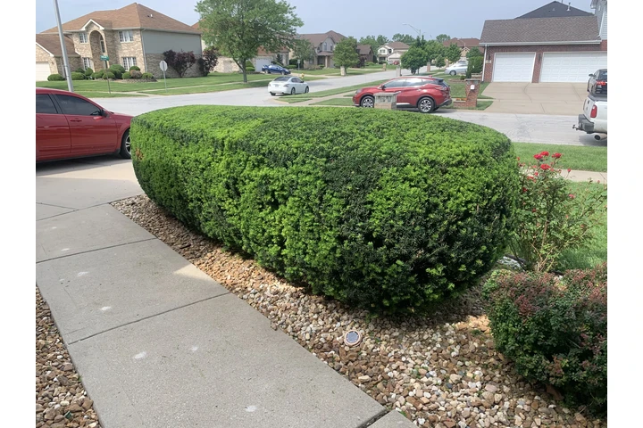 JL outdoor services image 8