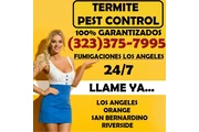 CONTROL RATAS-RATONES-ROEDORES en Los Angeles