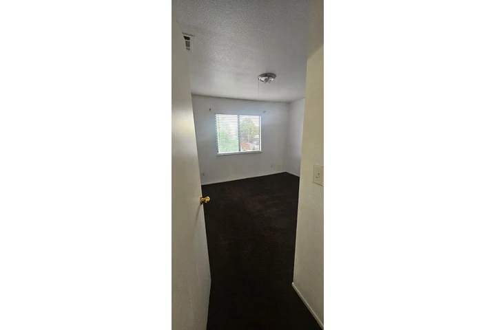 $1100 : Reta de cuerto image 2