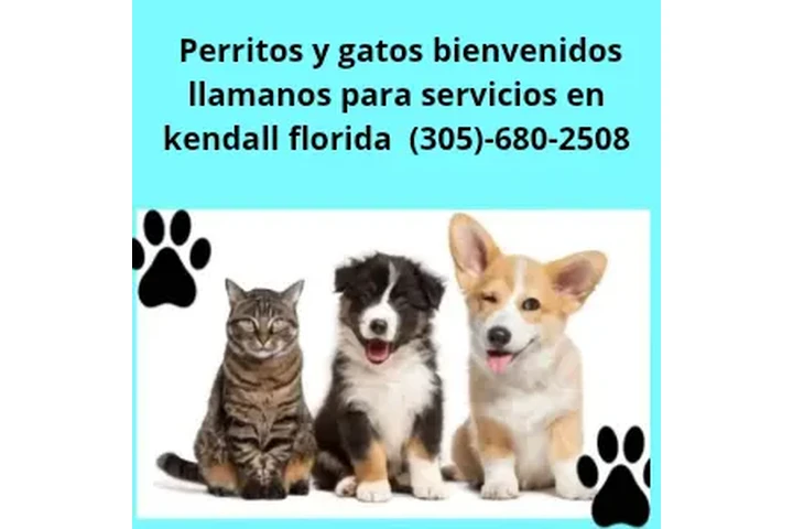 Pet Care Kendall Florida image 3