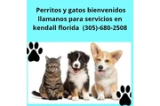 Pet Care Kendall Florida thumbnail