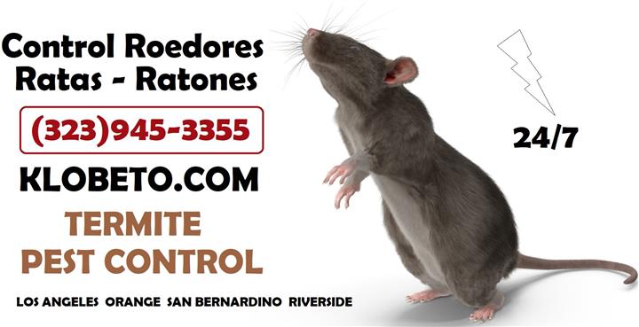 RODENT CONTROL (323)945-3355 image 7
