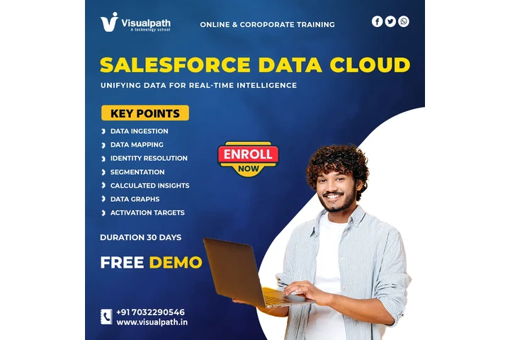 Salesforce DataCloud Training image 1
