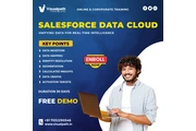 Salesforce DataCloud Training