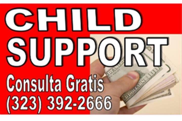 █►DIVORCIO►CHILDSUPPORT►VISITA image 3