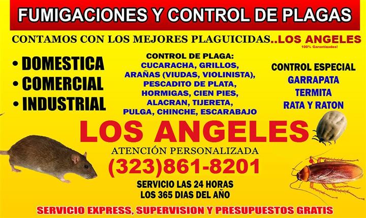 FUMIGACIONES LOS ANGELES image 4