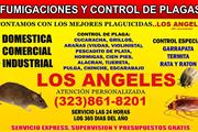 FUMIGACIONES LOS ANGELES thumbnail 4