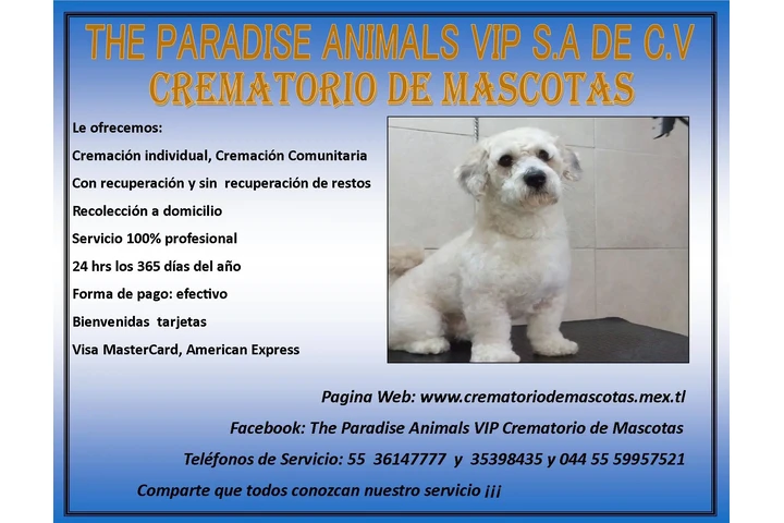 Cremacion para Mascotas image 3