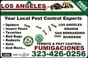 FUMIGACIONES - EXTERMINADORES thumbnail