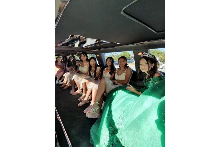 Limousine Business image 10