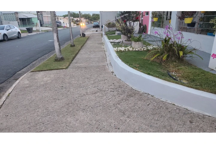 (JSLANDSCAPE) +17879420642 image 9