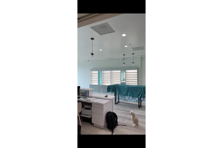Electrical services 24/7 image 8