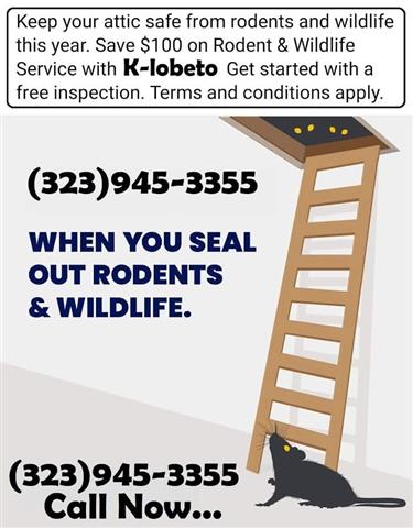 Rodents control & repairs 24/7 image 4