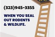 Rodents control & repairs 24/7 thumbnail