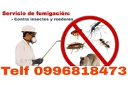 Control de plagas en Quito thumbnail