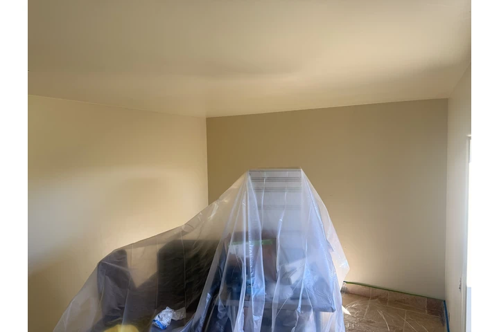 Painting Service  I/E image 6