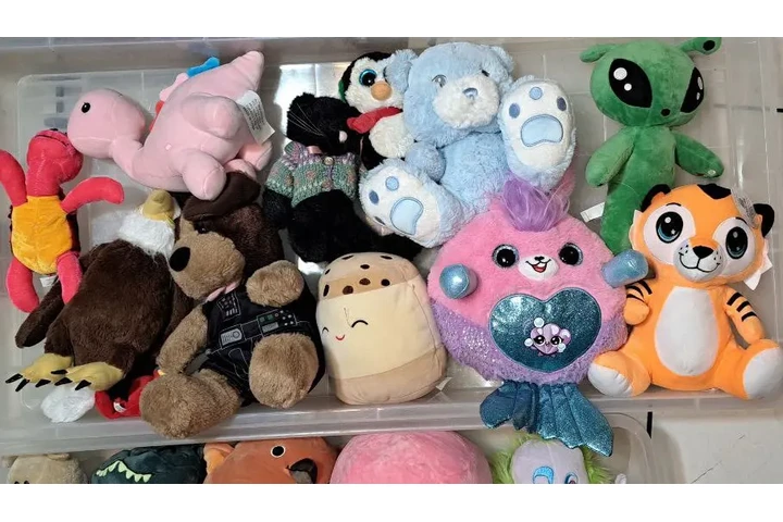 $300 : PAQUETE DE 19 PELUCHES DIFEREN image 7