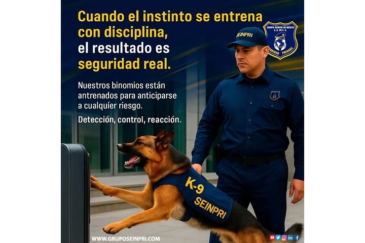 Nuestros Binomios K-9 image 1