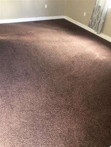Carpet Cleaning and Floor Wax image 2
