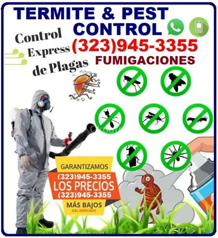 *TERMITAS-PLAGAS-FUMIGACIONES* image 4