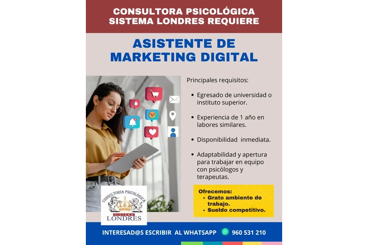 Asistente de Marketing image 1