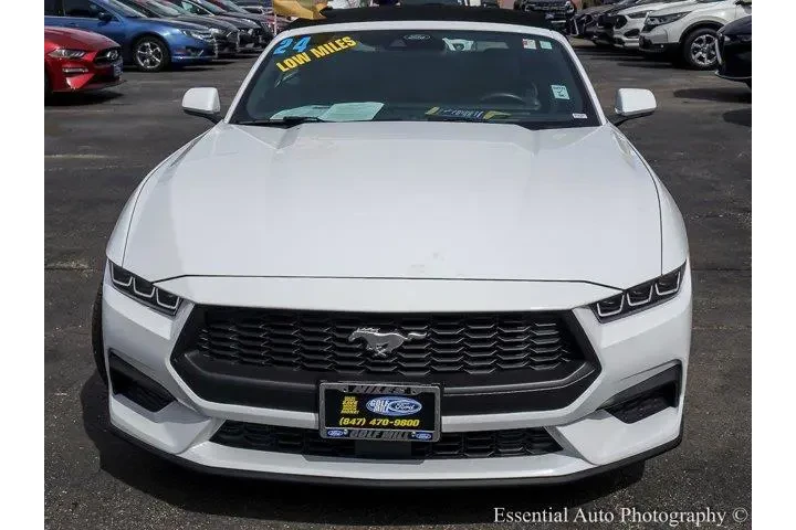 $34880 : Ford Mustang 2024 EcoBoost P image 5