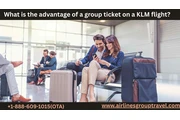 KLM group booking en Wilmington