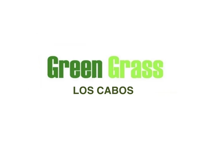 VENTA E INSTALACIÓN DE PASTO image 3