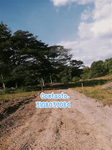 $66000000 : lotes, facilidad de pago. image 3