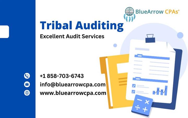 Comprehensive Tribal Auditing image 1