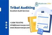 Comprehensive Tribal Auditing