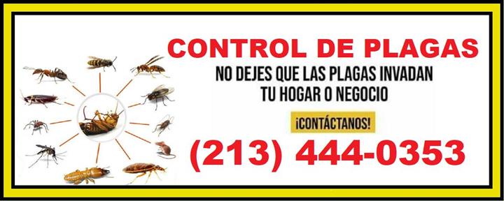 SERVICIO DE CONTROL DE PLAGAS image 1