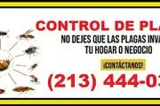 SERVICIO DE CONTROL DE PLAGAS