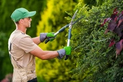 Contratista de Jardinería thumbnail