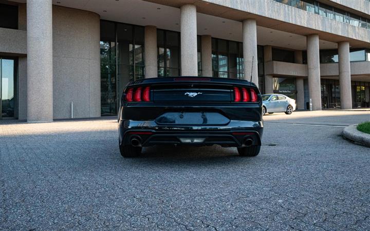 $27000 : 2020 FORD MUSTANG image 5