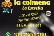 LA COLMENA DE LA ESTRELLA thumbnail 1