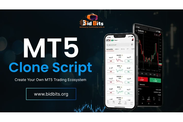 MT5 Clone Script Provider In U image 1