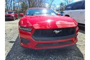 $30988 : Ford Mustang 2024 EcoBoost P thumbnail