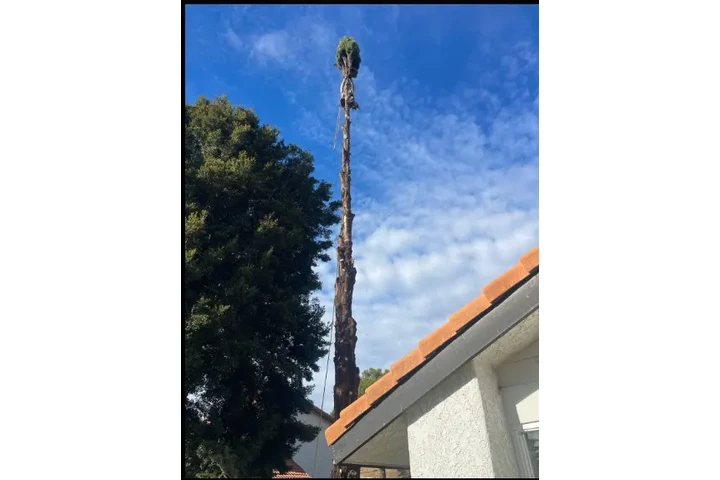 🌄 Expertos en Landscaping image 6