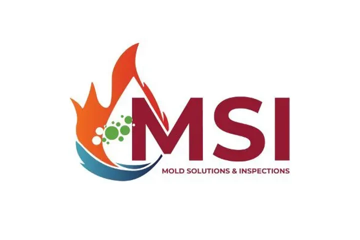 Mold Solutions & Inspections image 1