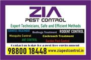 Bed Bug Treatment | Cockroach en Tempe