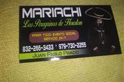 Mariachi Los Peregrinos de Hou thumbnail 1
