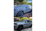 Carwash Mobile thumbnail