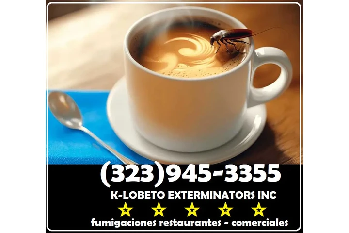 FUMIGADORES MAYWOOD 24/7 image 2