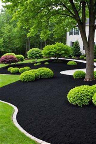 Diego Landscaping image 1