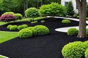 Diego Landscaping en Charleston