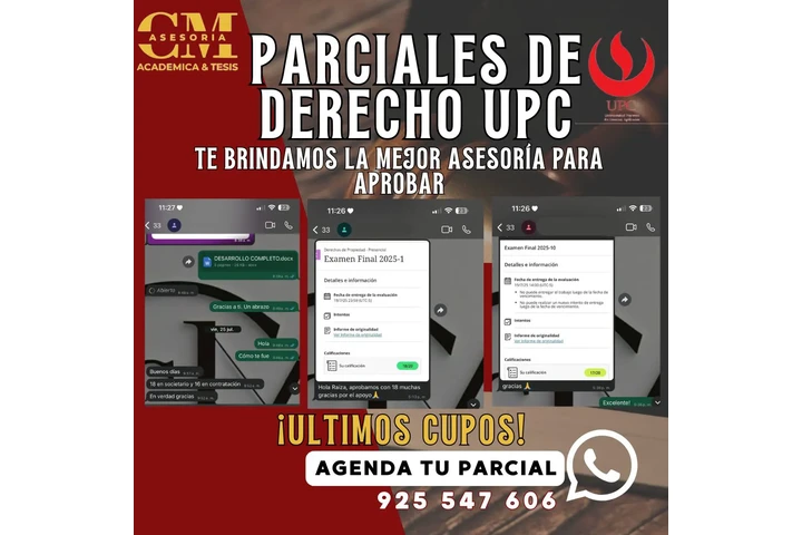 Asesoría Académica y de Tesis image 2