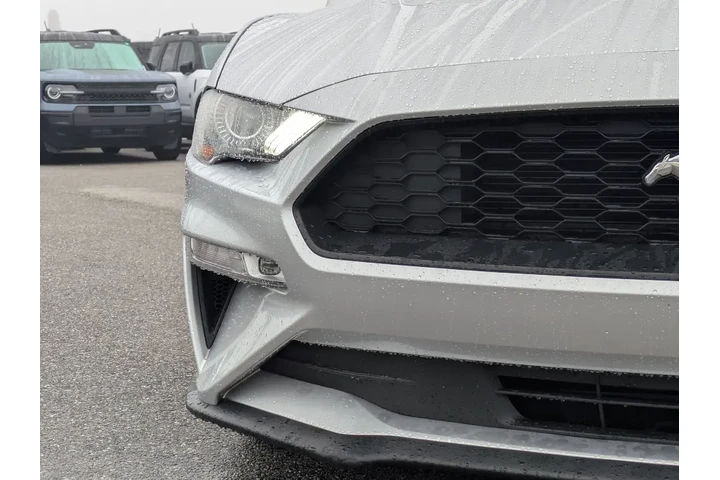 $19997 : Ford Mustang 2019 EcoBoost P image 9