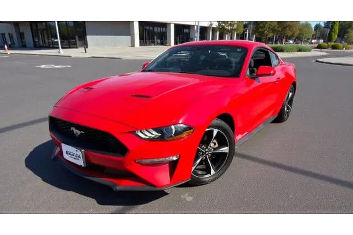 2019 Mustang image 1