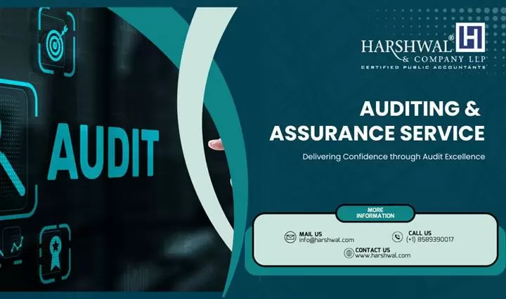 Auditing & Assurance Services image 1